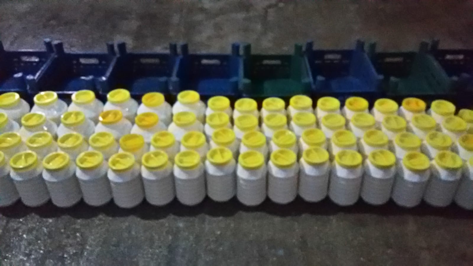 Asaf Tarım ve Hayvancılık